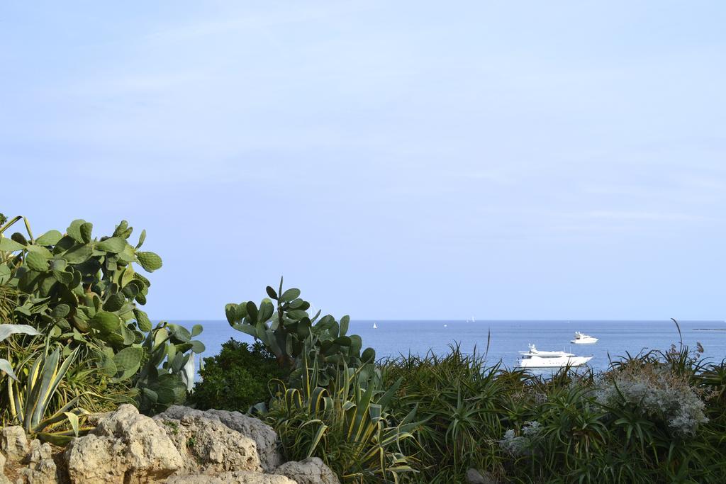 Villa Luca Antibes Bagian luar foto